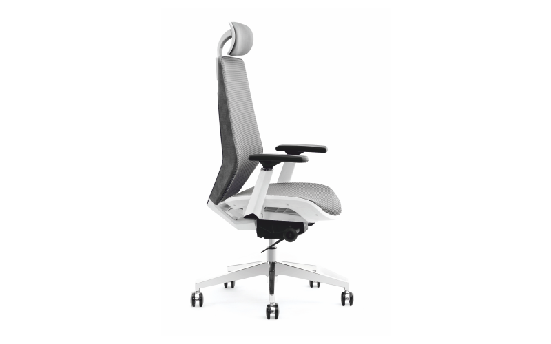 GODRIC High Back Ergonomic Chair Krisskross